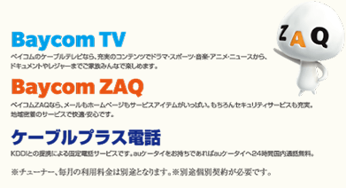 Baycom TV Baycom ZAQ ケーブルプラス電話
