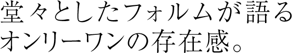 堂々としたフォルムが語るオンリーワンの存在感。